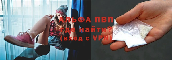 соль ск Дмитриев
