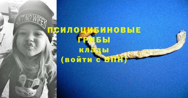 трава Гусиноозёрск
