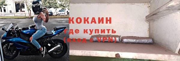 трава Гусиноозёрск