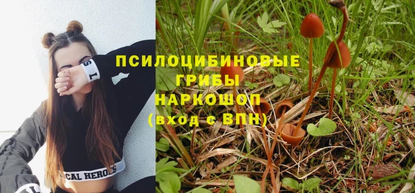 соль ск Дмитриев