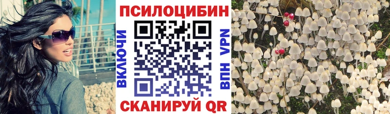Псилоцибиновые грибы мицелий  Купить закладки  Лосино-Петровский 